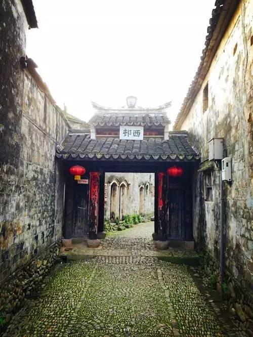 国王的坐骑